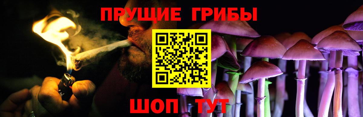 Псилоцибиновые грибы мухоморы Чернушка